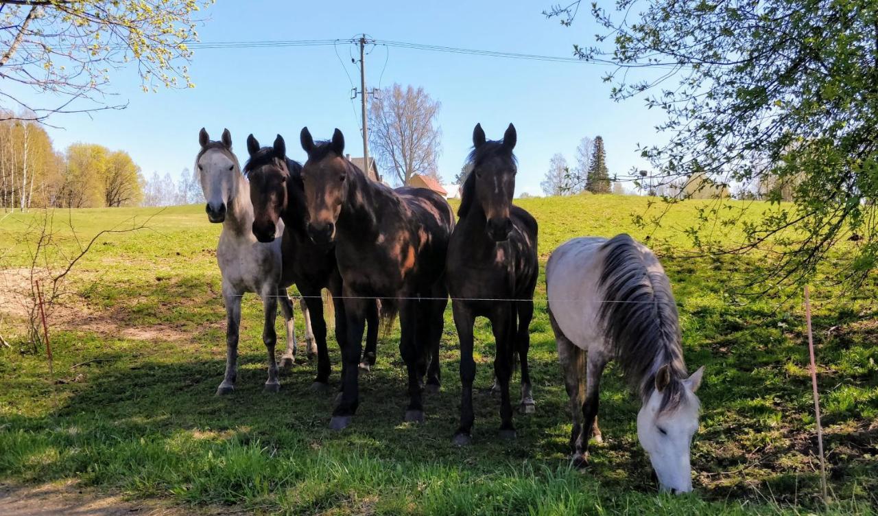 Eha Farmstay Rouge Bagian luar foto